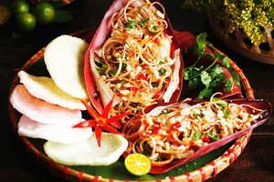 Đốm lửa của rừng