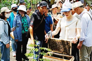 Du lịch sinh thái đang thu hút nhiều khách hàng. Ảnh: SONG ANH