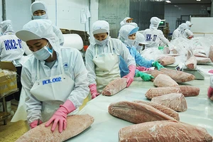 Chế biến cá ngừ xuất khẩu. Ảnh: NAM ANH
