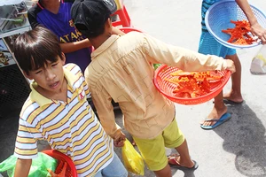Trẻ em bán sao biển ở Phú Quốc.