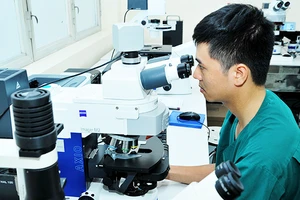 Mất rất nhiều thời gian làm các thủ tục hành chính để giải ngân kinh phí cho các đề tài khoa học. Ảnh: NAM ANH