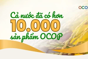 [Infographic] Cả nước đã có hơn 10 nghìn sản phẩm OCOP 