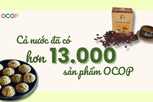 [Infographic] Cả nước đã có hơn 13.000 sản phẩm OCOP