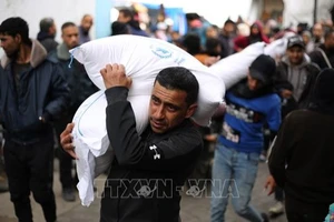 Người tị nạn Palestine nhận hàng cứu trợ từ UNRWA ở thành phố Rafah, Dải Gaza ngày 28/1/2024. Ảnh: THX/TTXVN