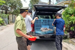 Cán bộ Hạt kiểm lâm thành phố Huế (cũ) tiếp nhận động vật hoang dã từ người dân để đưa trả về thiên nhiên.