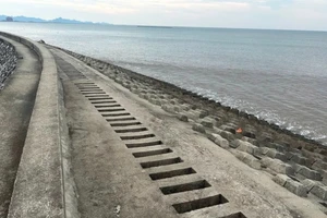 Một đoạn đê biển Cát Hải, thành phố Hải Phòng.