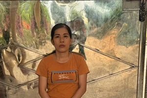 Công an tỉnh Quảng Nam tạm giữ hình sự đối với Nguyễn Thị Hoài để điều tra về hành vi “Giết người".