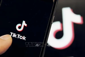 Biểu tượng mạng xã hội TikTok. Ảnh: TTXVN