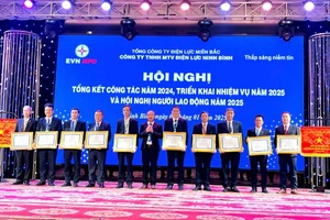 Công ty TNHH Một thành viên Điện lực Ninh Bình khen thưởng cho nhiều tập thể thực hiện tốt phong trào thi đua “Phấn đấu hoàn thành toàn diện các chỉ tiêu kế hoạch sản xuất kinh doanh được giao năm 2024”.