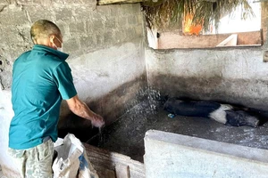 Gia đình ông Nguyễn Hữu Luật ở thôn Giá Thượng, xã Gia Hòa, huyện Gia Viễn, tỉnh Ninh Bình thực hiện công tác tiêu độc khử trùng chuồng trại phòng, chống dịch tả lợn châu Phi. 