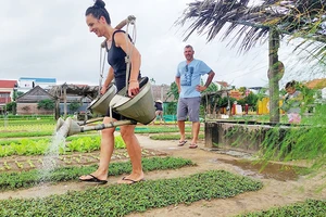 Tập làm nông dân ở Trà Quế. 