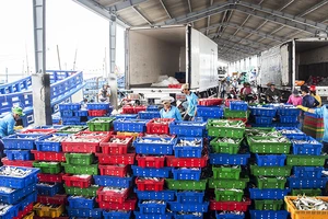 Quy hoạch hàng hóa thông qua Cảng biển Sóc Trăng từ 30,7 triệu tấn đến 41,2 triệu tấn