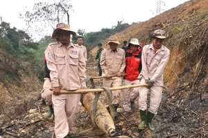 Dự án xử lý bom mìn MAG di chuyển quả bom đưa về khu vực lưu kho an toàn, chờ hủy nổ tập trung. 