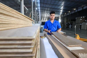 Với tinh thần xóa bỏ định kiến, tạo điều kiện đột phá, Nghị quyết 68 là lời khẳng định mạnh mẽ của Đảng về vai trò then chốt, động lực quan trọng hàng đầu của khu vực kinh tế tư nhân trong tiến trình phát triển đất nước. (Ảnh minh họa: THÀNH ĐẠT) 