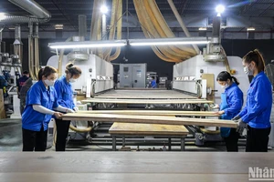 Doanh nghiệp đang rất kỳ vọng vào các chính sách hỗ trợ cấp thiết từ Nhà nước. (Ảnh minh họa: THÀNH ĐẠT)