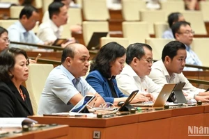 Các đại biểu Quốc hội làm việc tại hội trường. (Ảnh: BÙI GIANG) 