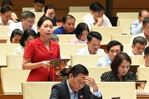 Đại biểu Lý Tiết Hạnh (Bình Định) phát biểu. (Ảnh: BÙI GIANG) 