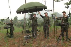 Cán bộ, nhân viên, chiến sĩ Tiểu đoàn 97 (Bộ Tham mưu Quân khu 3) đang thực hành trinh sát, phát hiện mục tiêu.