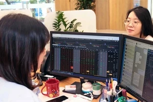 (Ảnh minh họa: TTXVN)