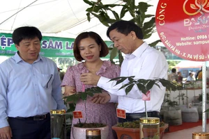 Sự kiện “Thúc đẩy liên kết vùng trong phát triển thương mại điện tử - Nâng tầm sản phẩm vùng trung du và miền núi phía bắc” sắp diễn ra tại Lai Châu.