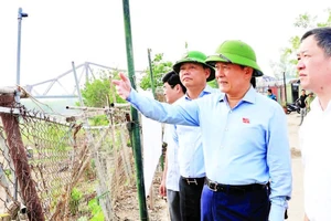 Chủ tịch Hội đồng nhân dân thành phố Hà Nội Nguyễn Ngọc Tuấn thị sát tình hình quản lý đất đai khu vực ngoài đê sông Hồng.