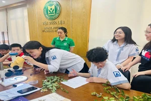 Học sinh học phương pháp phân tích mẫu để xác định tên khoa học cây thuốc.