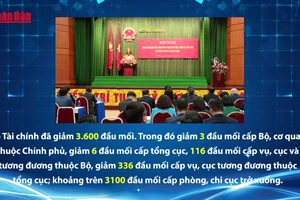 [Video] Chuyển mình để phụng sự tốt hơn