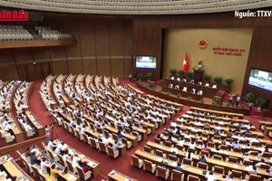 [Video] Đề xuất tăng thanh tra đột xuất, kiểm soát chặt quyền lực thanh tra