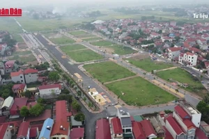 [Video] Thị trường bất động sản “nóng” trong ngắn hạn do thông tin sáp nhập tỉnh