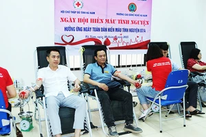 Các tình nguyện viên tích cực hưởng ứng Ngày toàn dân hiến máu tình nguyện 7/4.