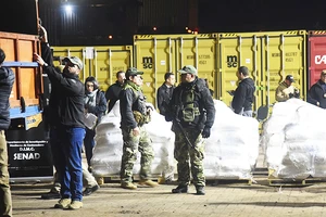 Cảnh sát thường xuyên phát hiện các lô hàng cocaine tại Antwerp. Ảnh: BELGA NEWS