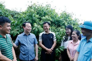 Bộ trưởng Nông nghiệp và Môi trường Đỗ Đức Duy trao đổi với chủ vườn vải, cán bộ khuyến nông, doanh nghiệp thu mua vải thiều tại huyện Tân Yên, tỉnh Bắc Giang. (Ảnh: KHƯƠNG TRUNG)