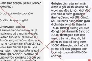 Nhiều người dân sập bẫy bởi tin nhắn mời chào tham gia quỹ đầu tư MoMo Pro. (Ảnh chụp màn hình)