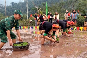 Đồn Biên phòng Na Loi cùng chính quyền xã Na Loi (huyện Kỳ Sơn) phối hợp tổ chức “Hội thi cấy lúa” chào xuân Ất Tỵ 2025.