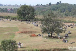 Cánh đồng Chum tại tỉnh Xiengkhouang của Lào được UNESCO công nhận là Di sản văn hóa thế giới. (Ảnh: Hải Tiến)