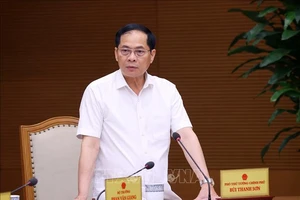Phó Thủ tướng Bùi Thanh Sơn. (Ảnh tư liệu: Văn Điệp/TTXVN)