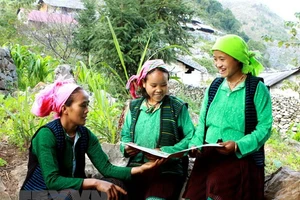 Ảnh minh họa. (Nguồn: TTXVN)