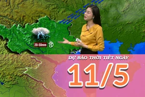 [Video] Dự báo thời tiết ngày 11/5/2025: Mưa dông tại Bắc Bộ Và Trung Bộ