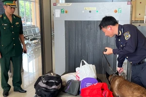 Lực lượng Hải quan tăng cường kiểm tra, kiểm soát hàng hoá tại các cửa khẩu. (Ảnh: MINH PHƯƠNG)