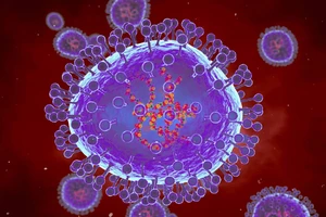 Minh họa máy tính về các hạt của metapneumovirus ở người (HMPV). (Ảnh: clinicaladvisor.com)