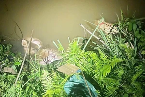 Phát hiện người dân vứt xác động vật ra suối tại xã Vĩnh Hảo, huyện Bắc Quang. Ảnh: Công an Hà Giang.