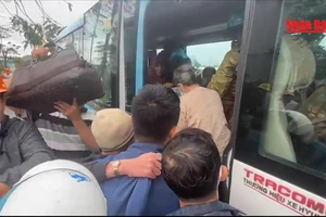 [Video] Hàng nghìn người dân Quảng Ngãi đi trú bão được về nhà