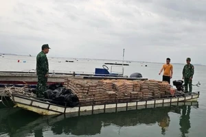 Ảnh minh họa: Phương tiện vận chuyển trái phép trứng gia cầm nhập lậu bị Bộ đội Biên phòng Quảng Ninh phát hiện bắt giữ, năm 2024. (Ảnh: QUANG THỌ)