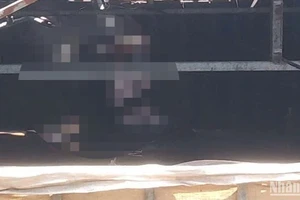 Hiện trường hai nạn nhân tử vong tại trại nuôi vịt thôn 12, xã Nam Dong, huyện Cư Jút, tỉnh Đắk Nông. 