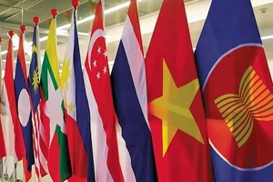 Ảnh minh họa. (Nguồn: Phái đoàn thường trực Việt Nam tại ASEAN)