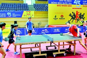 Các vận động viên tập luyện, làm quen với điều kiện thi đấu tại Cung Thể thao Tiên Sơn. (Ảnh: DUY LINH)