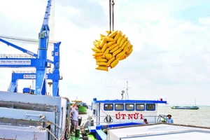 Bốc dỡ hàng hóa tại cảng Tân Cảng Cái Cui, thành phố Cần Thơ. (Ảnh TTXVN)