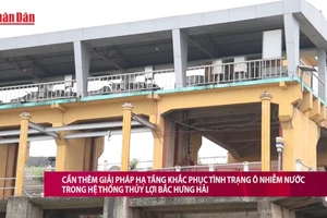 [Video] Cần thêm giải pháp hạ tầng khắc phục tình trạng ô nhiễm nước trong hệ thống thủy lợi Bắc Hưng Hải