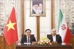 Chủ tịch Quốc hội Vương Đình Huệ và Chủ tịch Quốc hội Iran Mohammad Bagher Ghalibaf gặp gỡ báo chí sau hội đàm. (Ảnh: TTXVN)