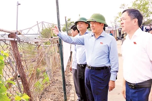 Trước phiên giải trình, các đoàn công tác của Hội đồng nhân dân thành phố Hà Nội đã tiến hành khảo sát thực địa tại nhiều khu vực bãi sông, ngoài đê sông Hồng, sông Đuống.